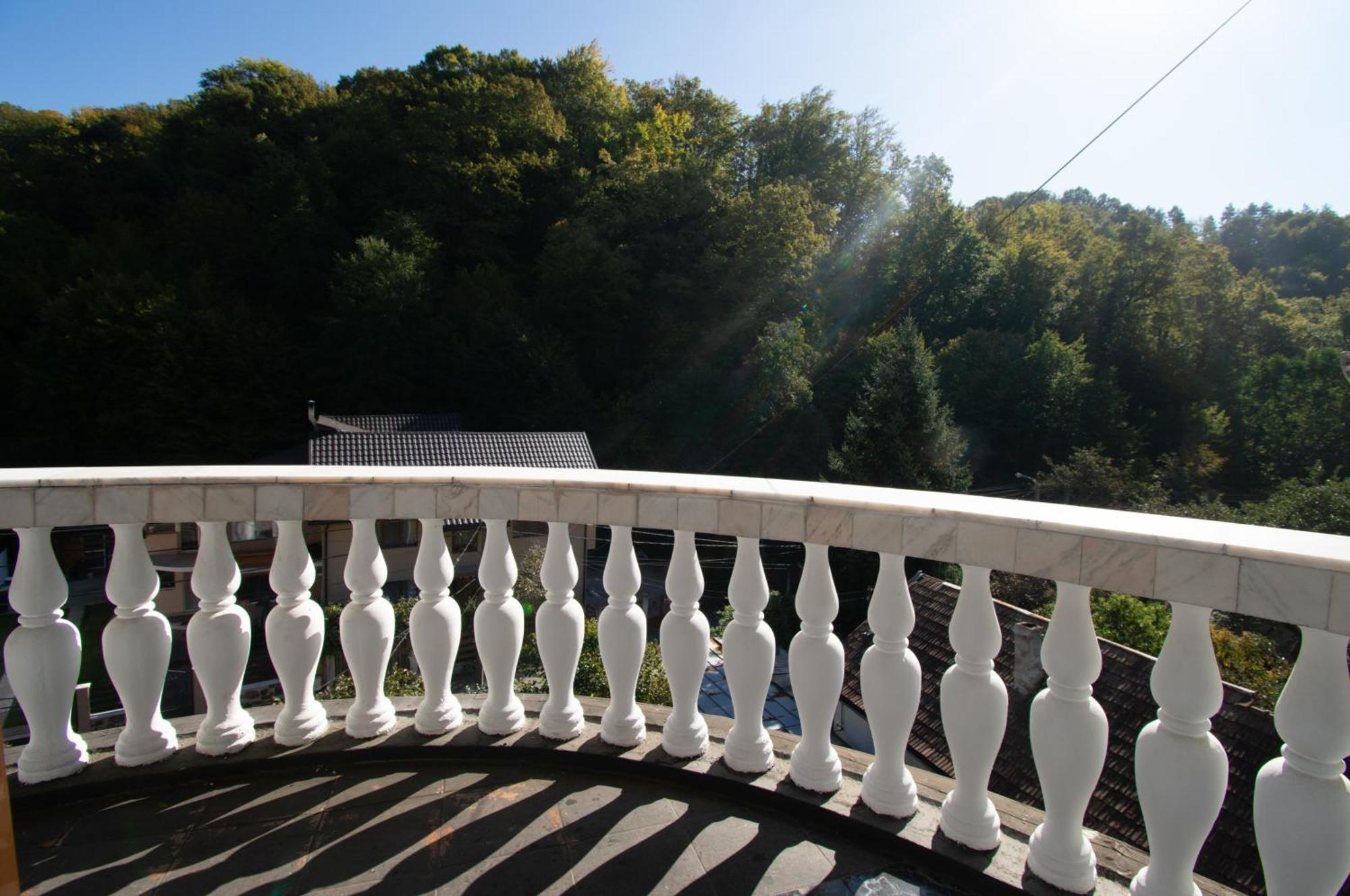 Pensiune Forest Park Baia Mare Extérieur photo